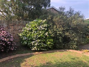 2 Bed Townhouse in Lorraine