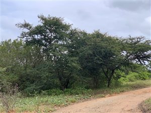 606 m² Land available in Bathurst and Surrounds