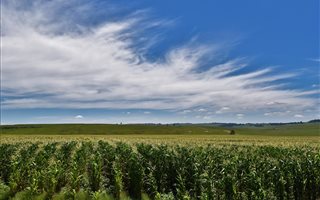1725 ha Farm in Ermelo