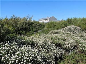 800 m² Land available in Bettys Bay