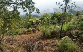 4280 m² Land available in Stormsrivier
