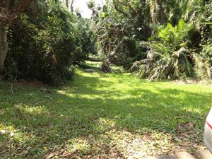1356 m² Land available in Munster