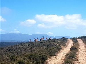 433 m² Land available in Hartenbos
