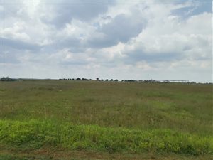 4.5 ha Land available in Withok Estates