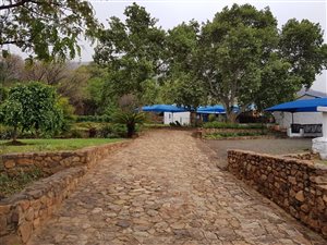 29 ha Farm in Kameeldrift West