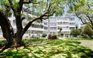 3 Bedroom Apartment in Illovo