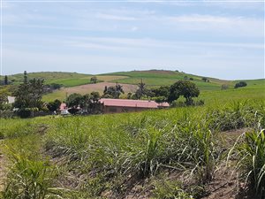 4 ha Farm in Tongaat Central