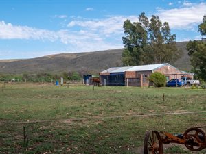 11 ha Farm in McGregor