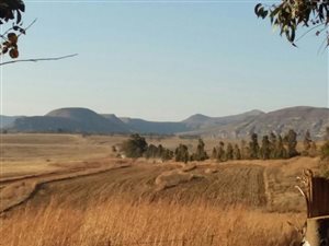 326 ha Farm in Fouriesburg