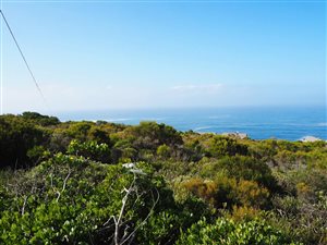 2379 m² Land available in Breakwater Bay Eco Estate