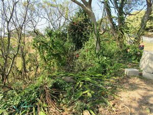 1724 m² Land available in Illovo Glen