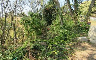 1724 m² Land available in Illovo Glen