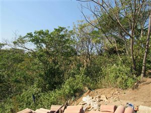 1724 m² Land available in Illovo Glen