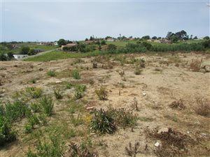 6754 m² Land available in Pacaltsdorp