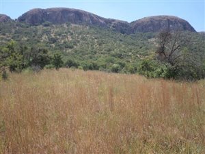 33 ha Farm in Hartbeespoort Dam