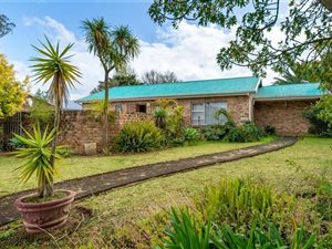 5 Bed House in Blanco
