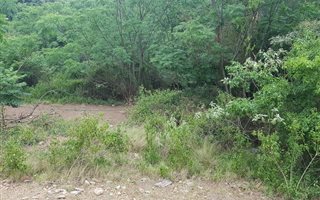 1750 m² Land available in Newlands East