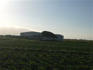 5.7 ha Farm in Schaap Kraal