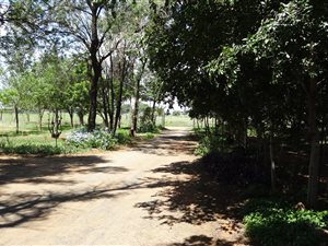 6 Bedroom House in Wilgeboom AH