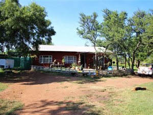 3 Bed House in Rayton