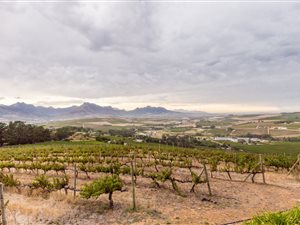 Farm in Stellenbosch Central