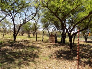 1.1 ha Farm in Leeuwfontein