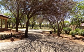 1.1 ha Farm in Leeuwfontein