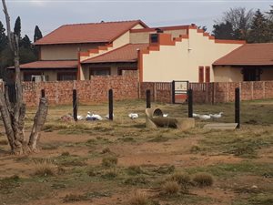 1.7 ha Farm in Rietkol AH