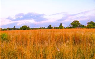 2 ha Land available in Laezonia
