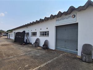 481 m² Industrial space in White River