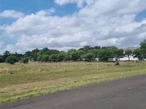 5.4 ha Land available in Hutten Heights