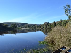 115 ha Farm in Swellendam