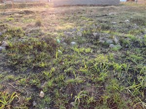 250 m² Land available in Sebokeng Zone 17