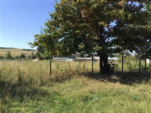 2141 m² Land available in Mthata