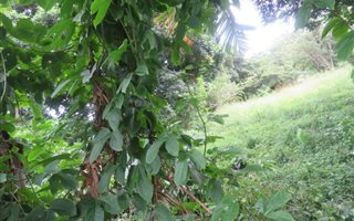 774 m² Land available in Melville