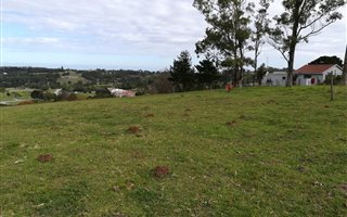 1.8 ha Land available in Colleen Glen