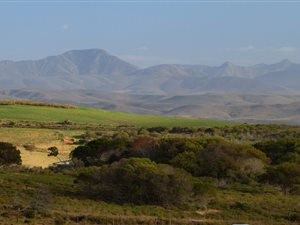 853 m² Land available in Island View