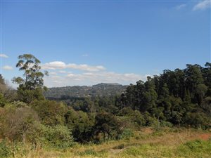 2.2 ha Land available in Hilton