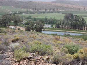 9.4 ha Farm in Robertson