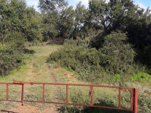 2 Bed House in Bothaville