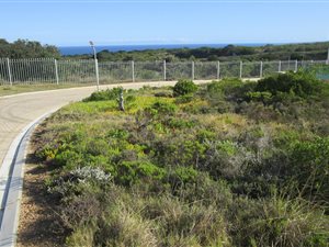 375 m² Land available in Dana Bay