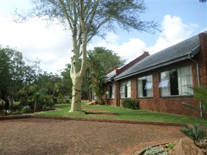 2 ha Smallholding in Patryshoek