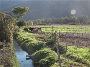 308 ha Farm in Robertson