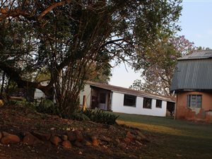 2 ha Farm in Albert Falls