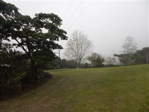 3.1 ha Land available in Drummond