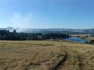 48 ha Farm in Howick