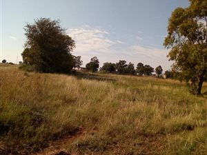 8 m² Land available in Doornkuil AH