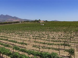 1.1 ha Land available in Paarl