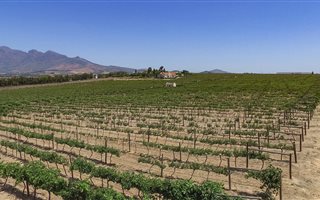 1.1 ha Land available in Paarl