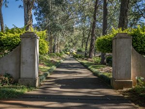 37 ha Farm in Howick
